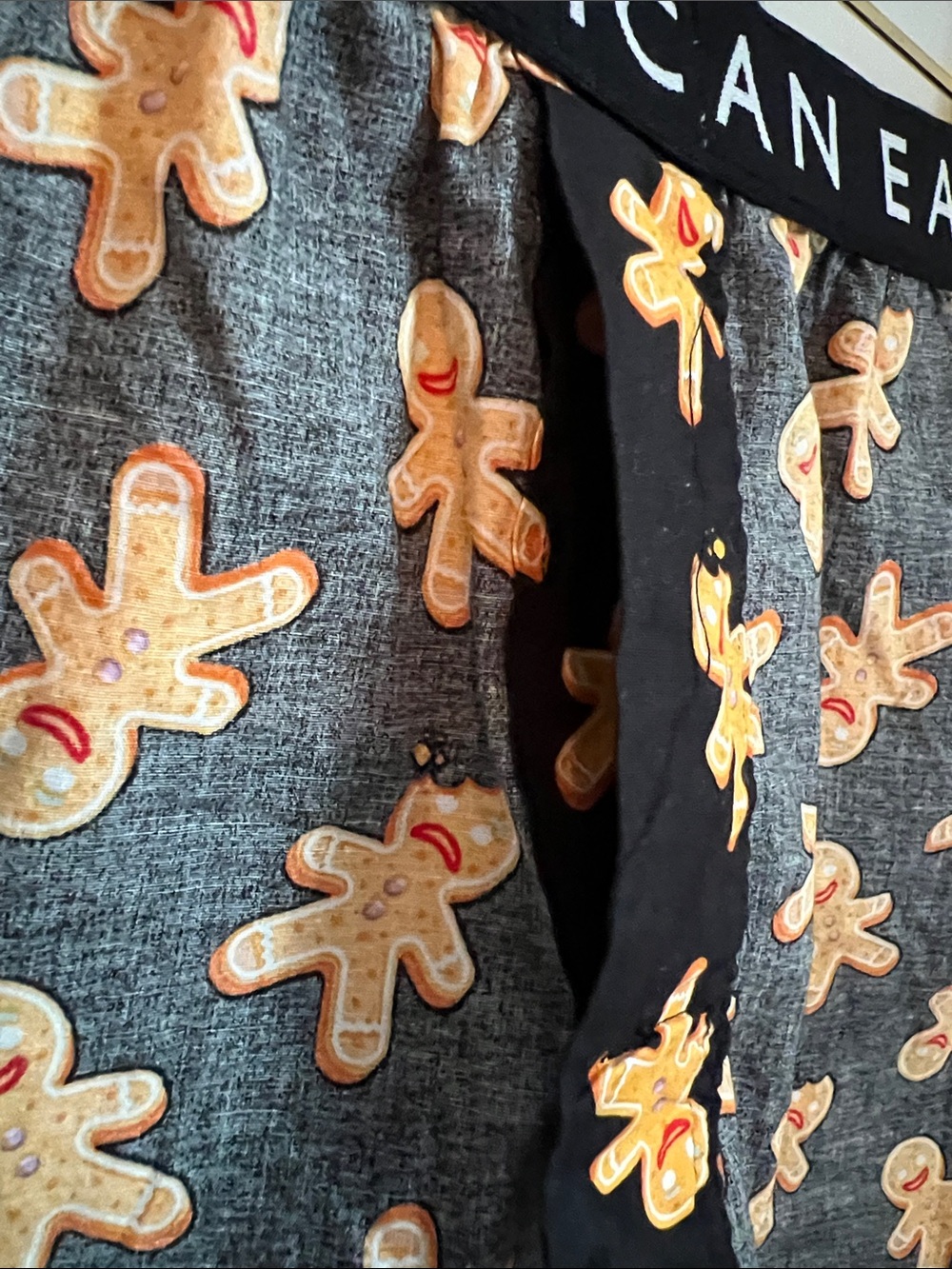 American Eagle Outfitters | Black Shorts with Gingerbread NWT Print Sz S (29-31) - Picture 7 of 16